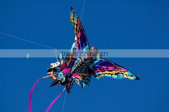 beautiful butterfly kite