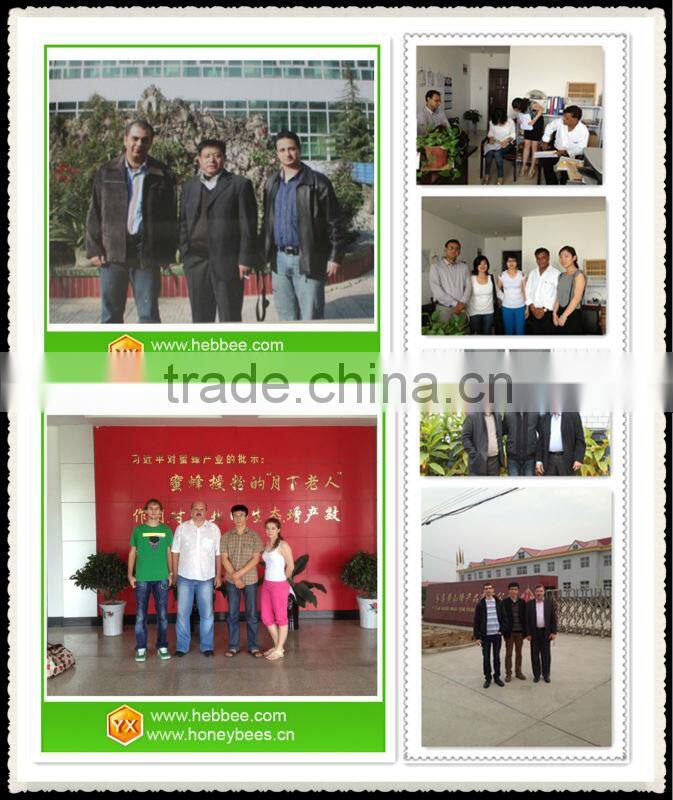 European style round shape bee smoker with inner tank