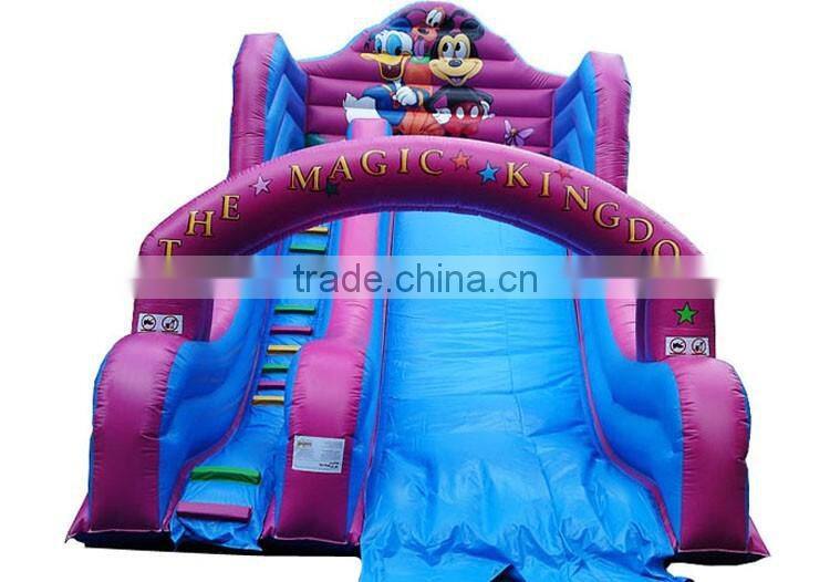 the magic kingdom giant inflatable slide for children, cartoon themed inflatable castle slide for sale