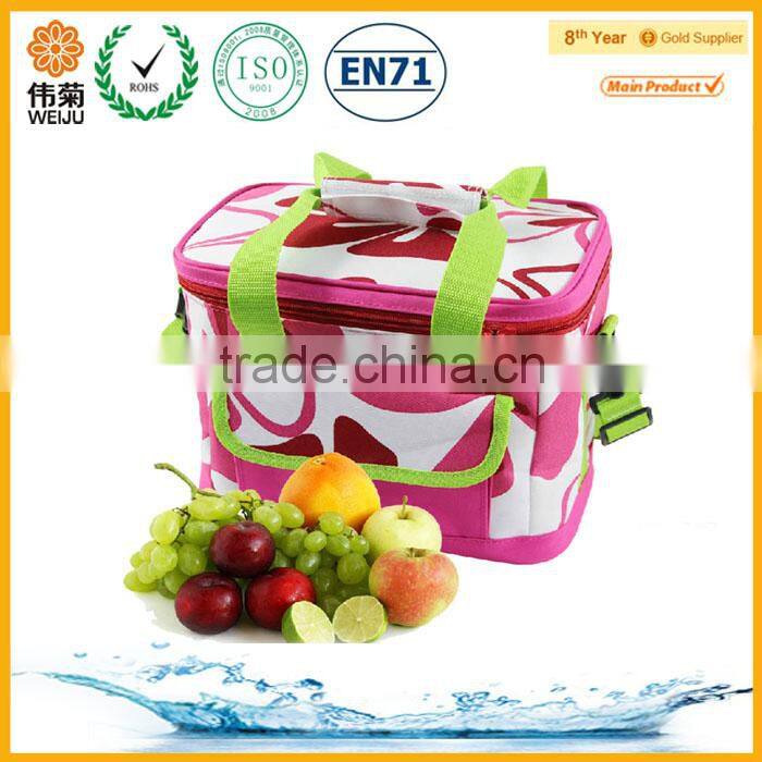 Easy Carring up Lunch Cooler Bags for Women with Best Price