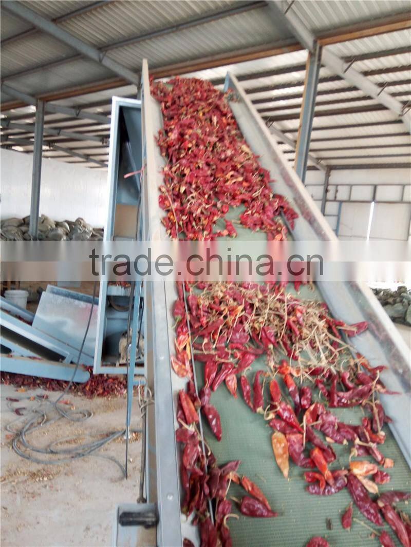 best quality the new machine for pepper to clean the nail