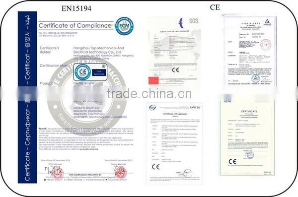 TOP/OEM rechargeable ebike battery 36v10ah lithium ion battery