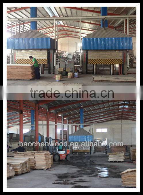 4'*8' Russia Birch Plywood For Furniture