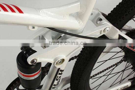 26 inch new style Passive Damper electric bicycle (Model XCB900N)