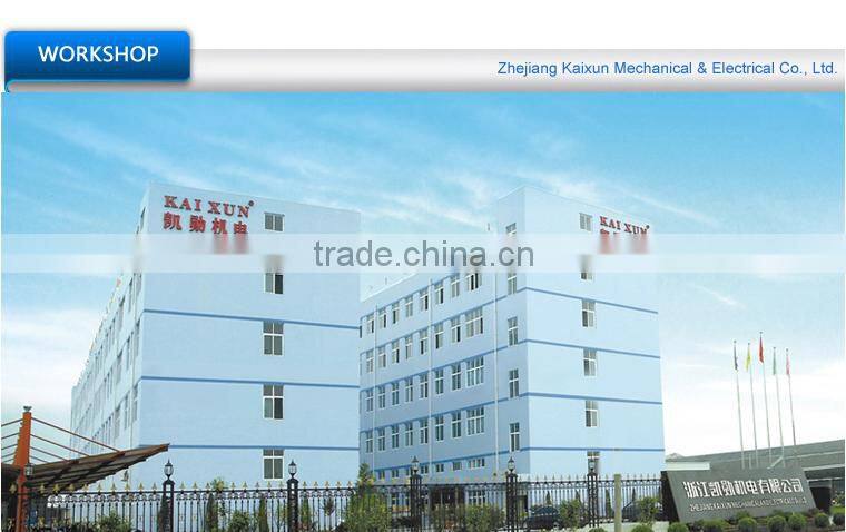 wire rope electric hoist 200~990kgs with upper and down limit device