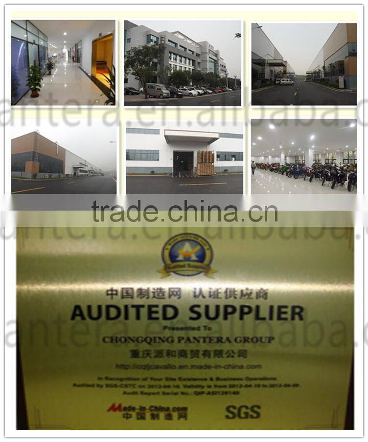 250cc Quite Fast Hot Sale Racing 2 Wheeler Motorcycle