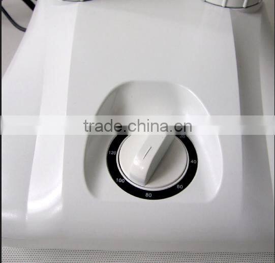 Removable electric shoe dryer