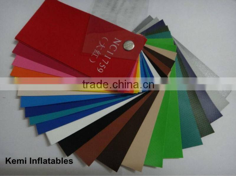 adult size inflatable water slide