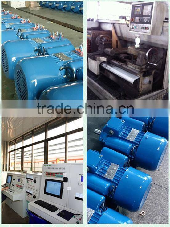 Single Phase refrigerator condenser fan motor