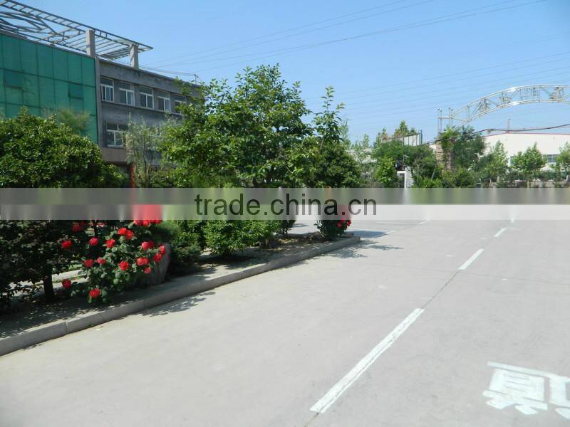 PS Disposable Food Container Making Machine(Europe quality)
