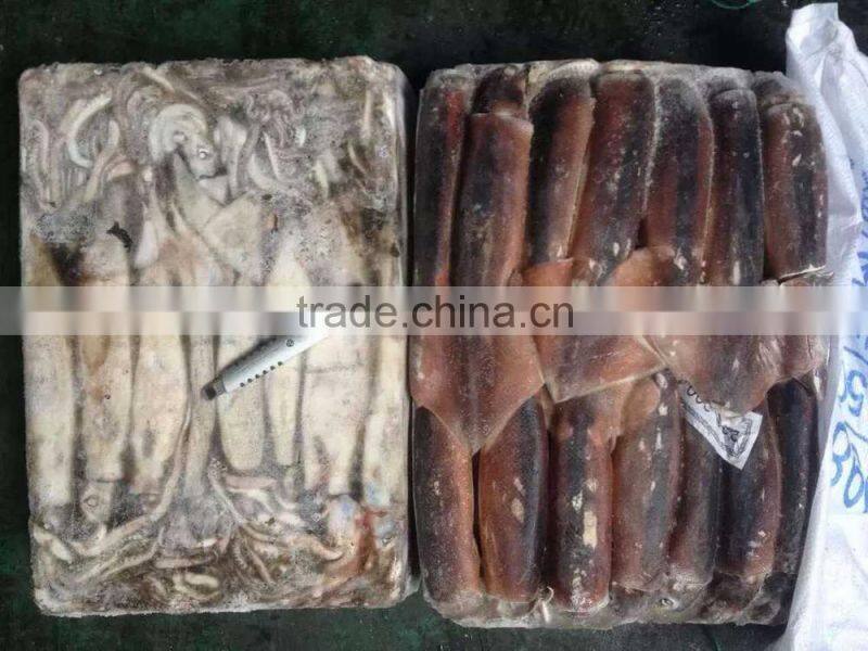 Good fresh Illex Squid