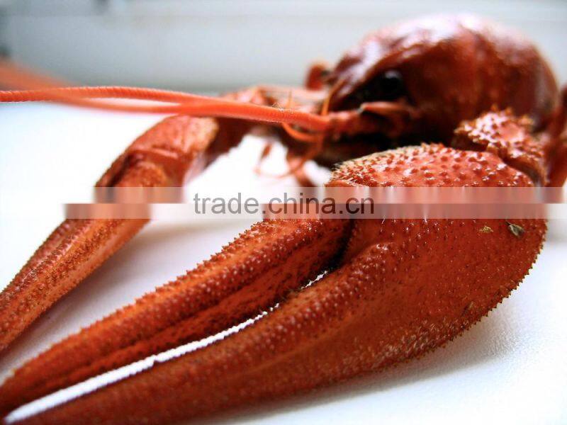 Frozen crawfish fish seafood