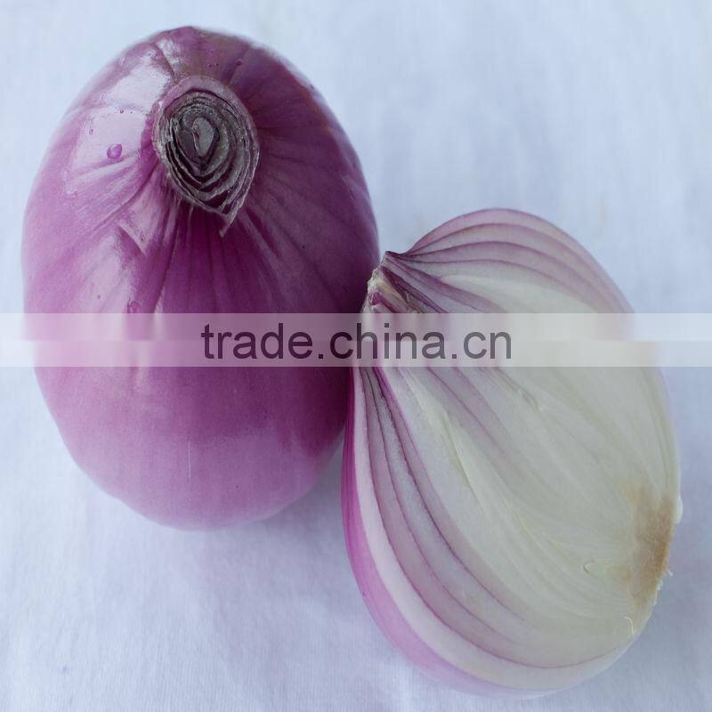 100% pure white onion granules