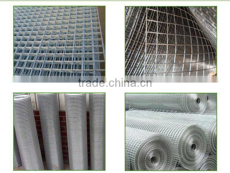 1/4X1/4 inch 4ftX6m stainless steel wire 304 BBQ Grilles welded mesh
