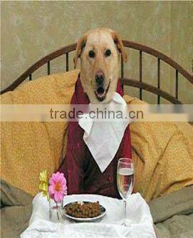 stainless steel wideout put automatically cat food machine