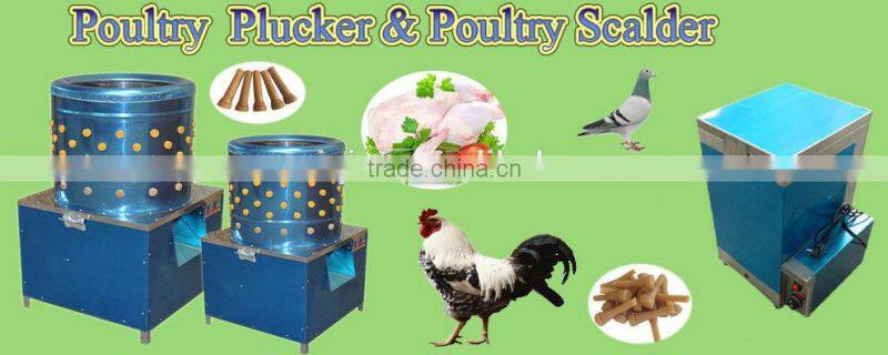 fully auto WQ-65 stainless steel poultry plucking machines/chicken plucker