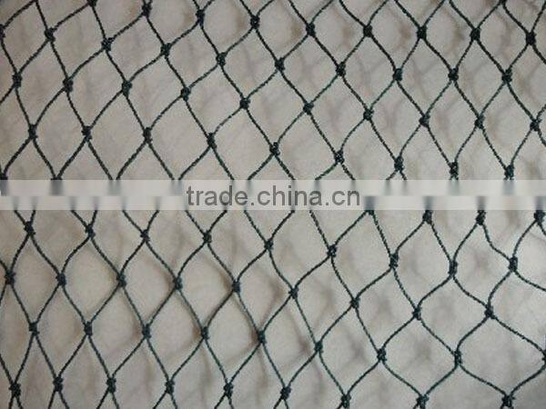 Factory supply Anti-bird Netting, anti-bird net, Agricuture Netting