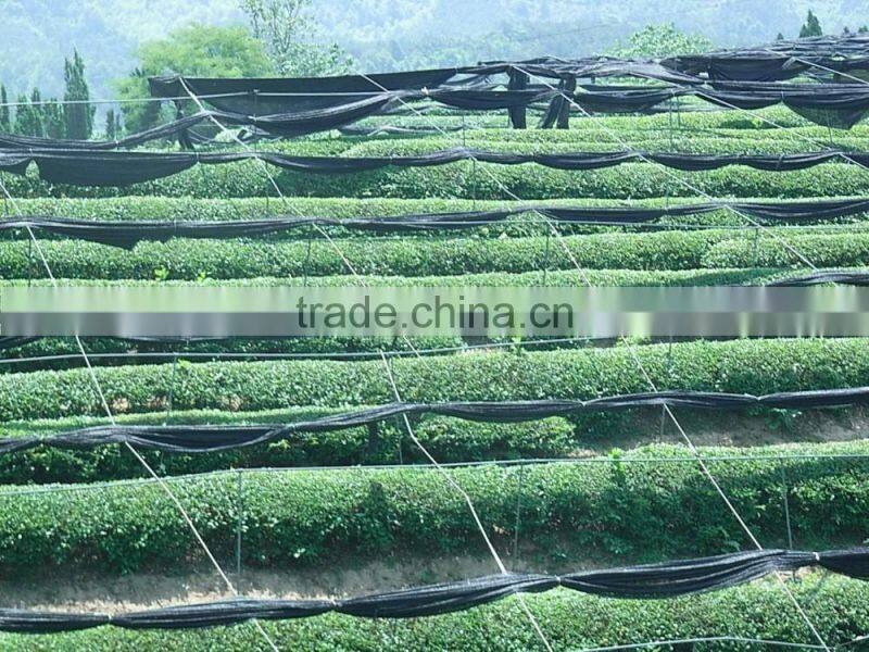 alibaba golden supplier 80% shade rate dark green hdpe sun shade net