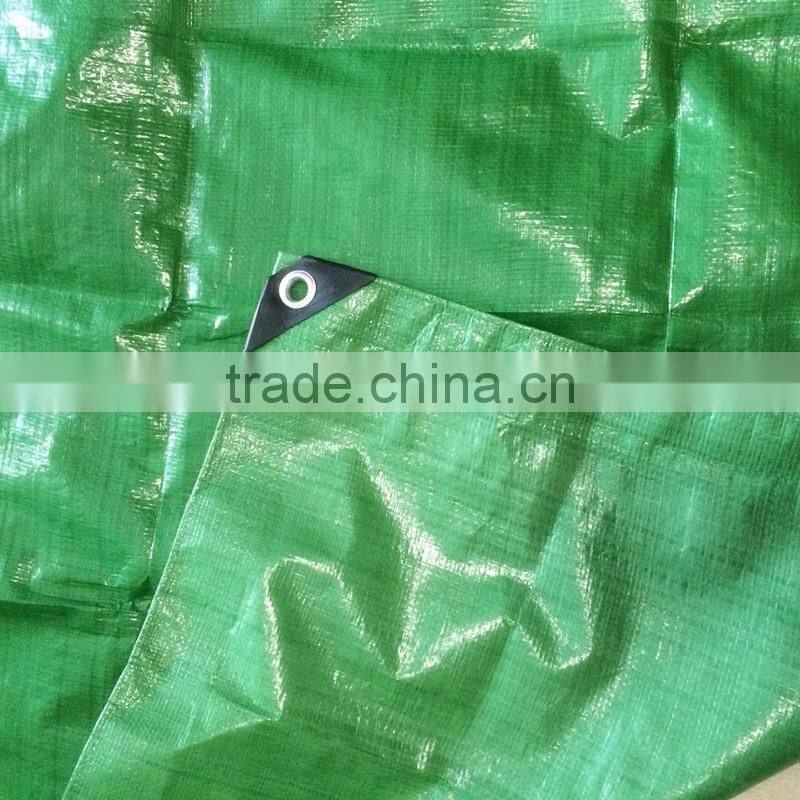 Doyue tarp , green pe tarpaulin , waterproof tarpaulin lona