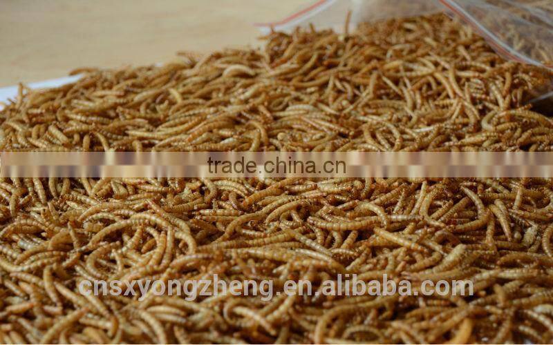 Dried Mealworms For Reptiles Pet Food