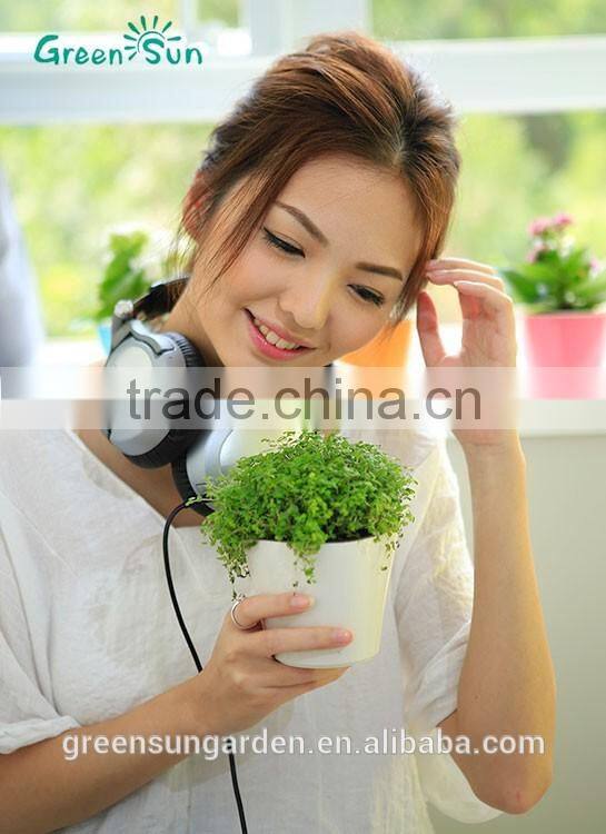 used nursery flower pots nursery pots supplies