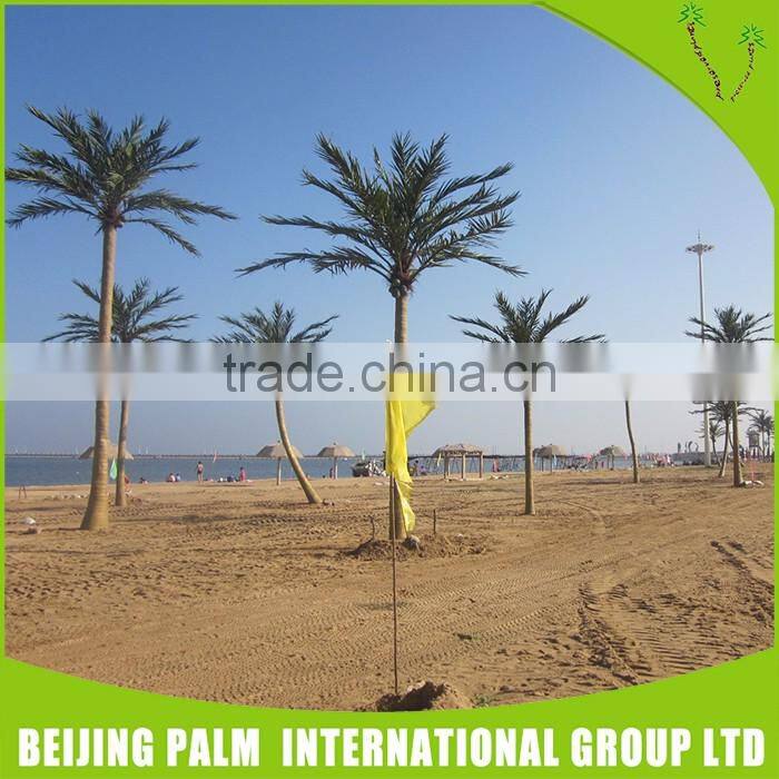 Plastic coconut tree,decorative tree