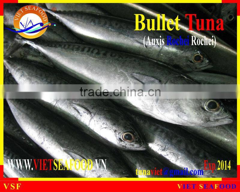 FROZEN W/R BULLET TUNA