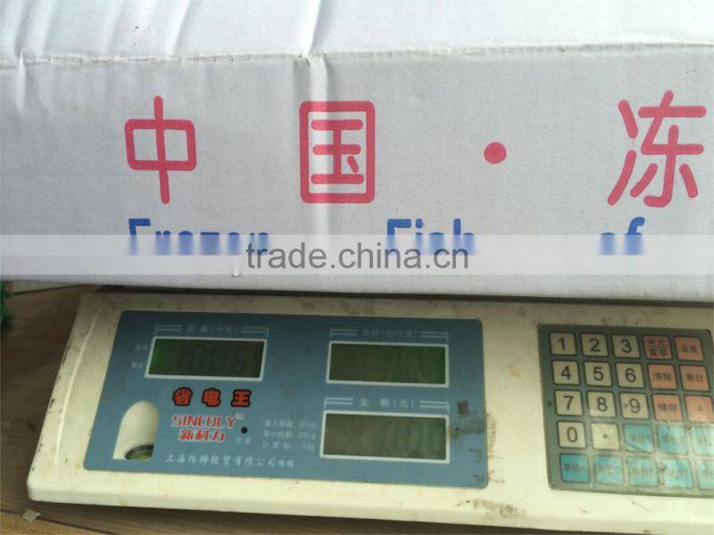 Frozen mackerel 200-300g W/R scomber japonicus