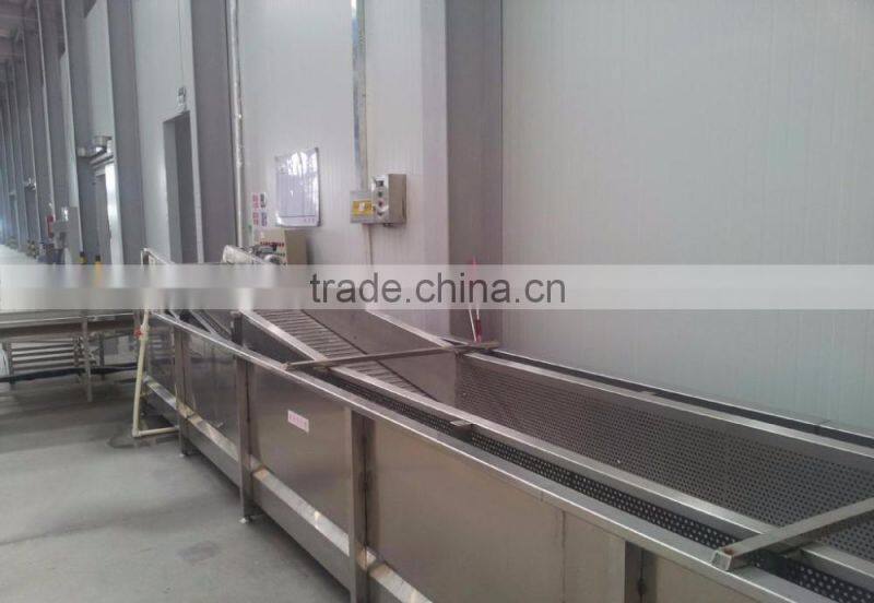 wholesale baby carrots with good price