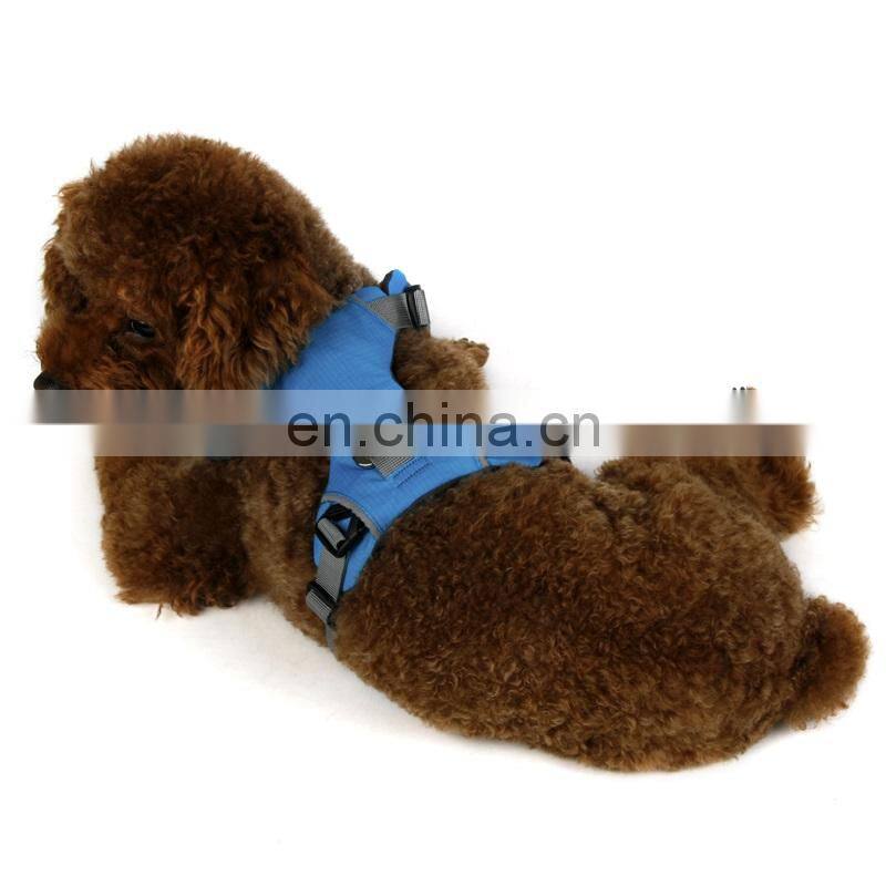 dog training bite suit