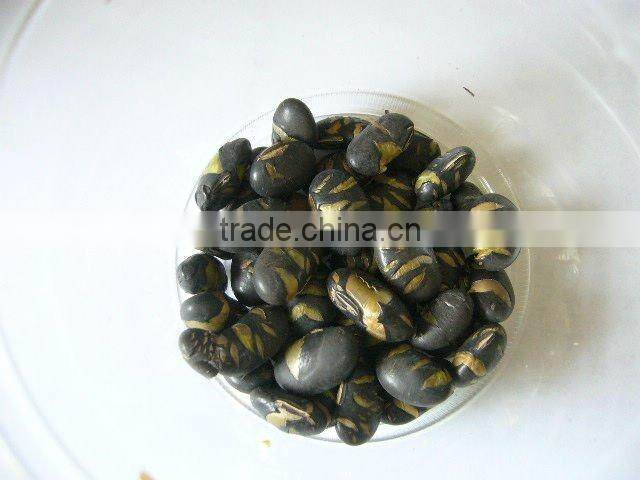 instant organic roasted soybean