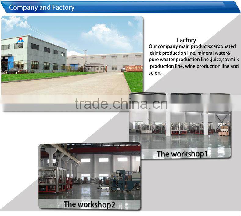 Soft drinks filling plant filling bottle machine wine in hot sales