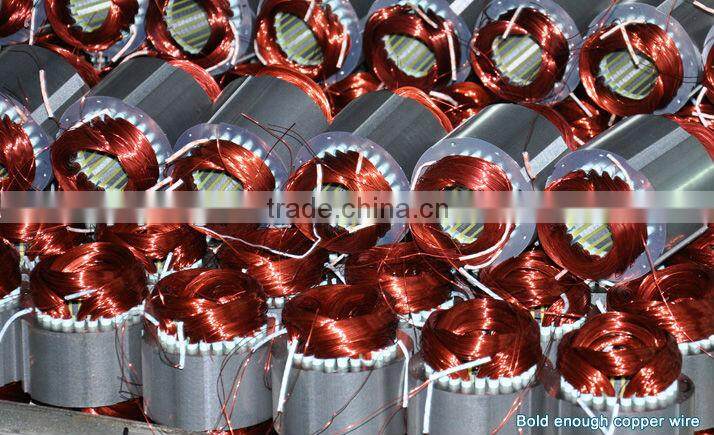 Small Electric Winch 500KG Mini Hosit