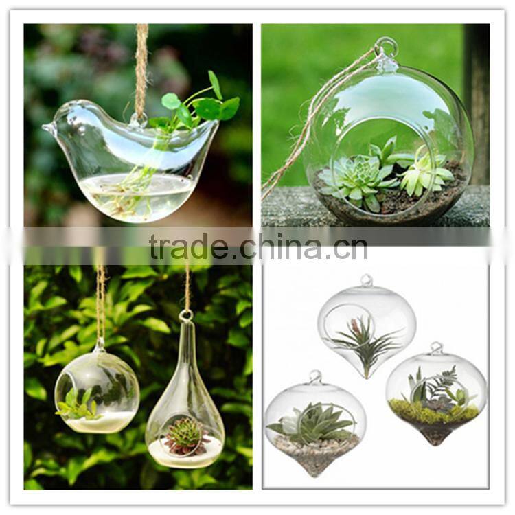 modern hanging teardrop shaped clear glass vase