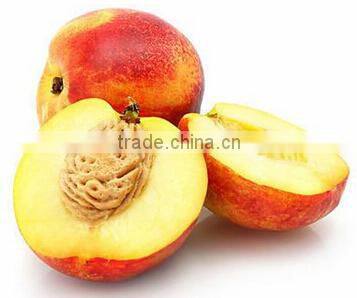 New design Stoning Equipment manufactured in Wuxi Kaae