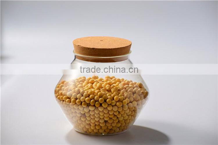 2016 New Design China Eco-Friendly Fancy Glass Jars And Lids
