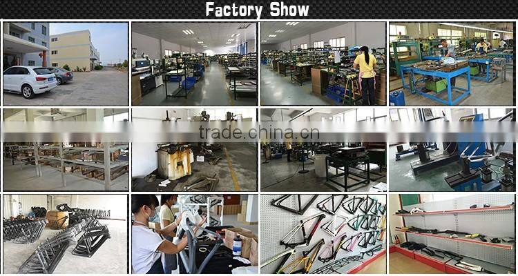 New design carbon fiber mini bike,14" folding mini bicycle