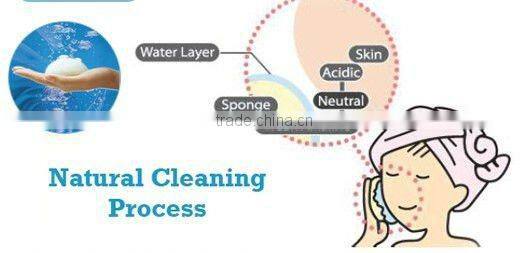 2012 hottest natural bath sponge