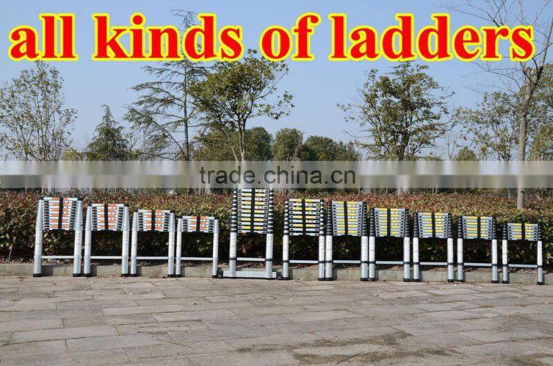 extreme heavy duty ladder.full aluminum design,Australia,New Zealand,Brunei Darussalam,Japan,korea,Thailand popular