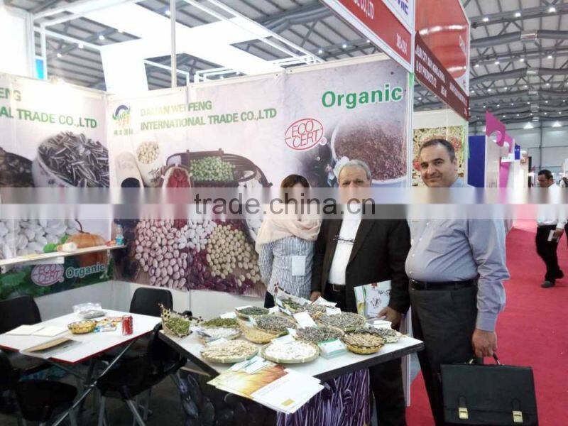 New Crop Chinese Sunflower seed 5009/3638/0409 on promotion for sale