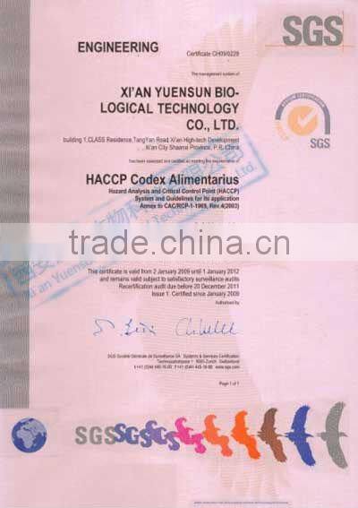 High Purity stevia powder RA98%