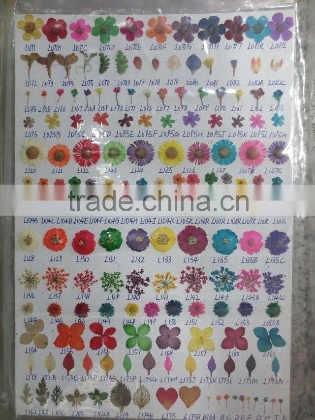 Real fern beautiful pendant 20mm size wish charm necklace pendant