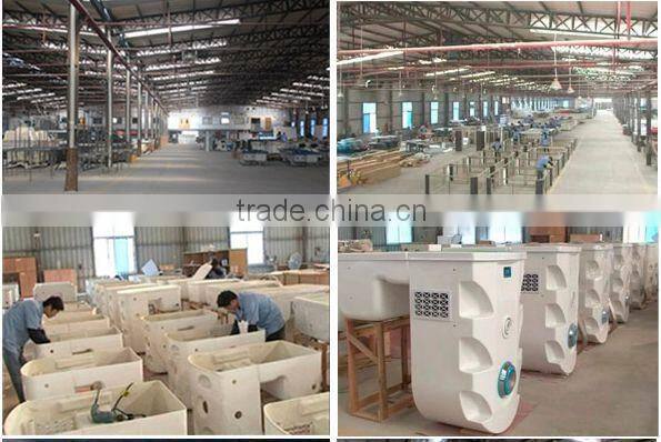 Top Qualtiy Wall-Hung Pipeless Swimming Filtration/Compact Pool Filter/Filter for Water PK8029