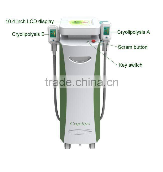 double handles professional cryolipolysis machine & cryolipolysis antifreeze membrane