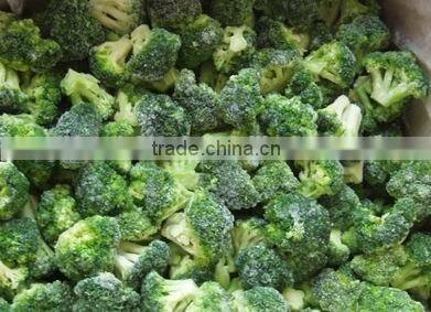 Frozen Broccoli Exporter