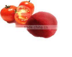 Nice Nutritonal Herbal Extract Tomato Extract Fruit Juice Powder Lycopene 3%-20%