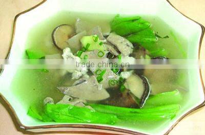 fresh ,frozen ,dreid oyster mushromm best price
