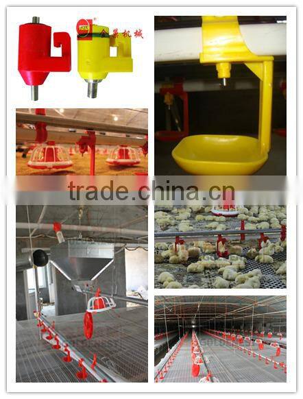 poultry automatic feeding and drinking system