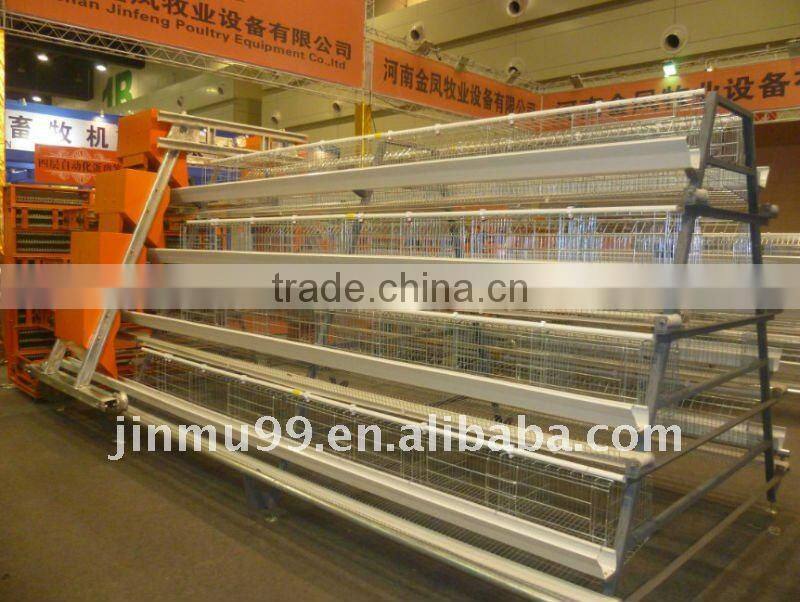 layer chicken poultry house