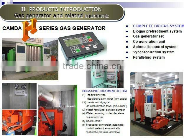 Biogas generator 160KW/200KVA/Biomass power plant/Waste to engery 60Hz